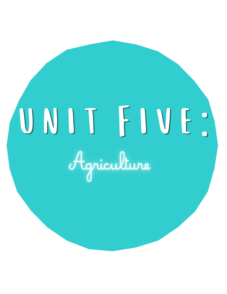 unit 5